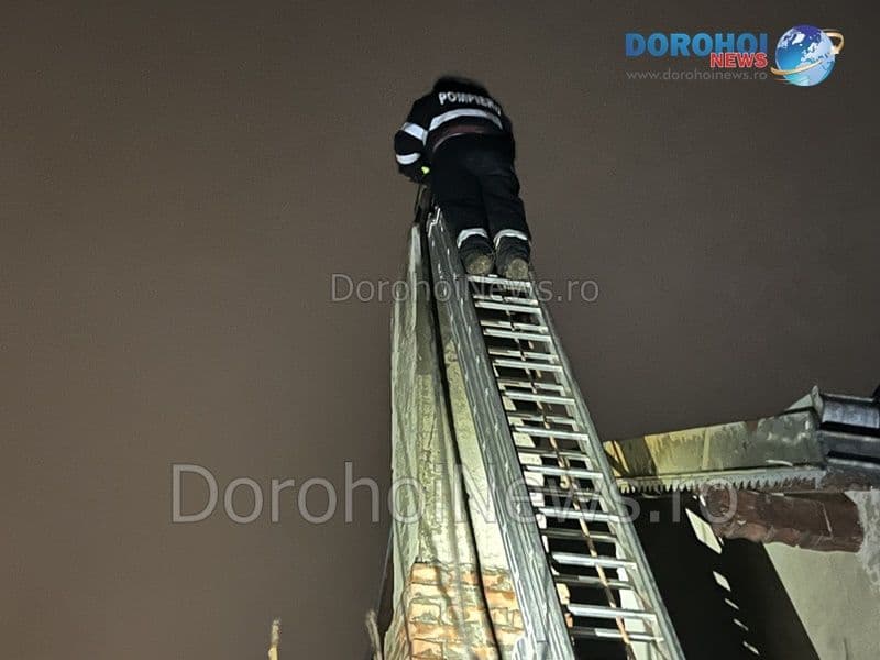 Incendiu Dealu Mare_108