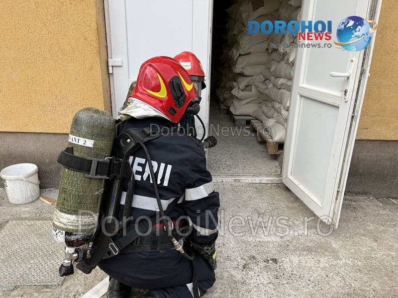 Exercitiu Dorohoi_07
