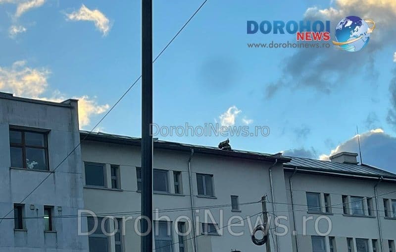 Tabla desprinsa BCR Dorohoi_04