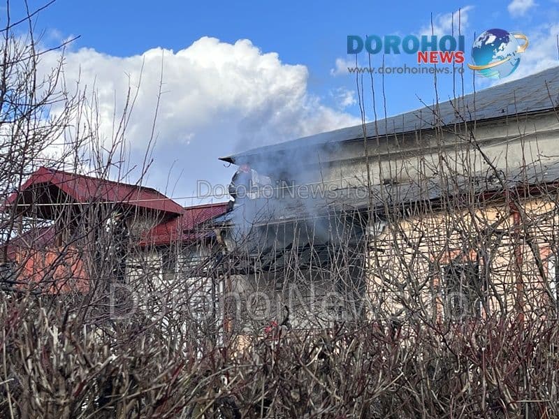 Incendiu Dorohoi_12