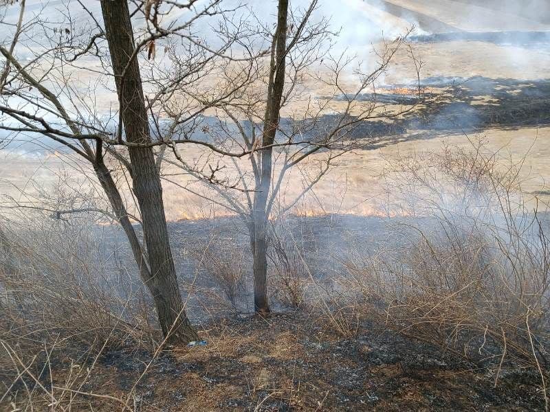 Incendiu Frumusica_ (1)
