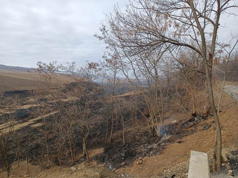 Incendiu Frumusica_ (2)