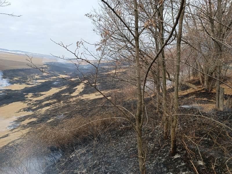 Incendiu Frumusica_ (3)