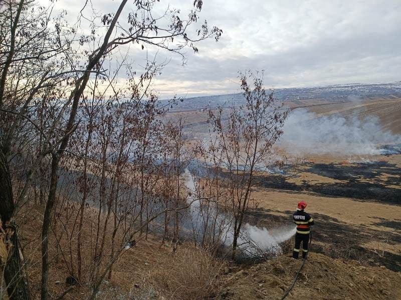Incendiu Frumusica_ (6)