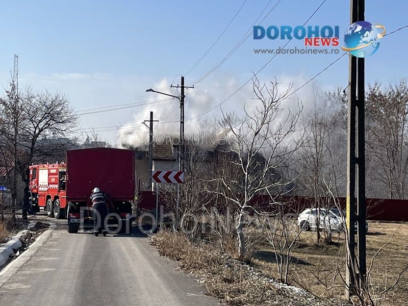 Incendiu casa Dorohoi_02