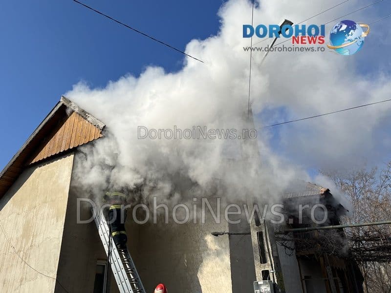 Incendiu casa Dorohoi_09