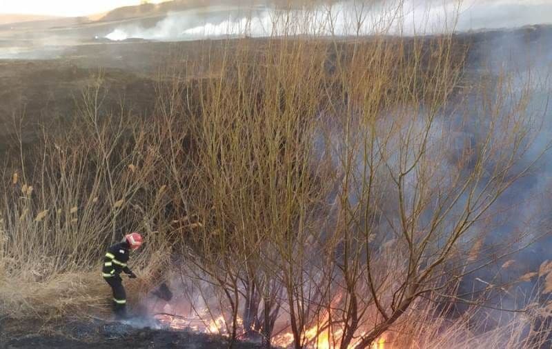 Incendiu vegetatie (4)