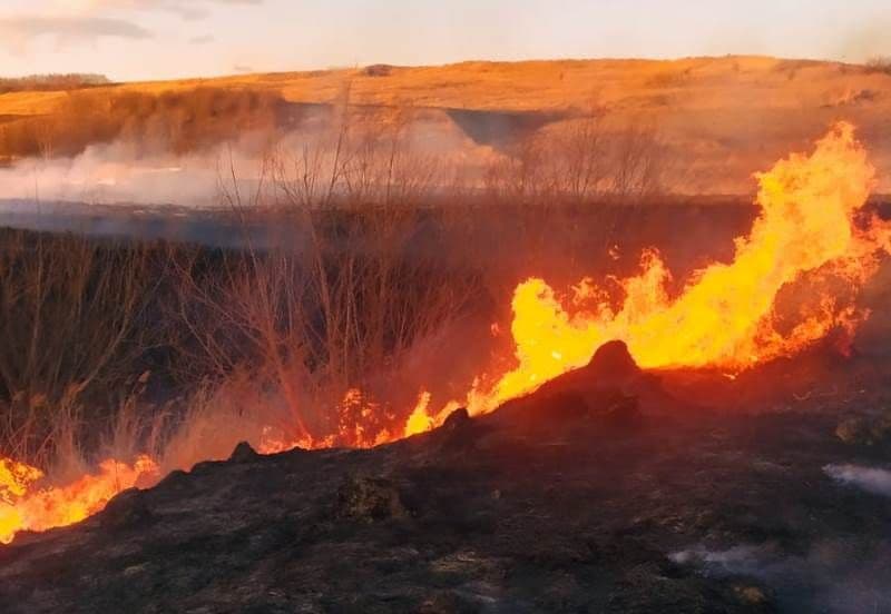 Incendiu vegetatie (5)
