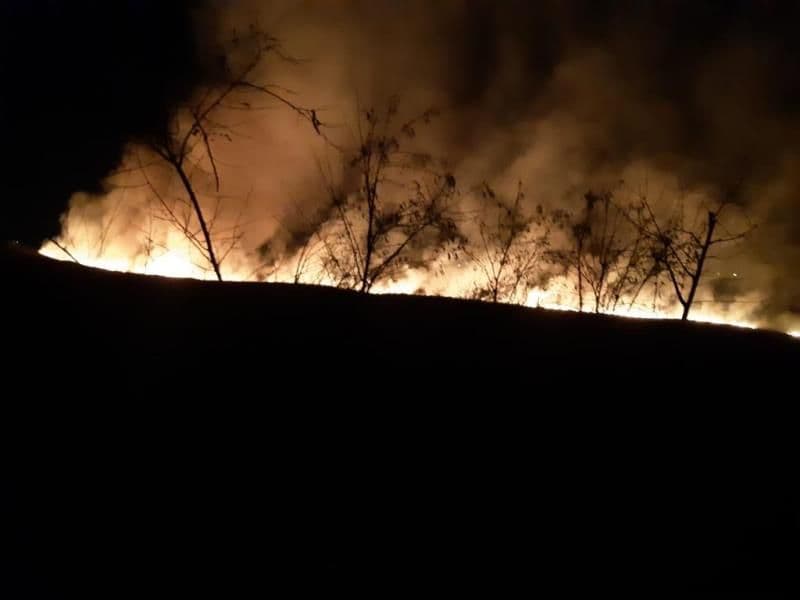 Incendii Botosani_3