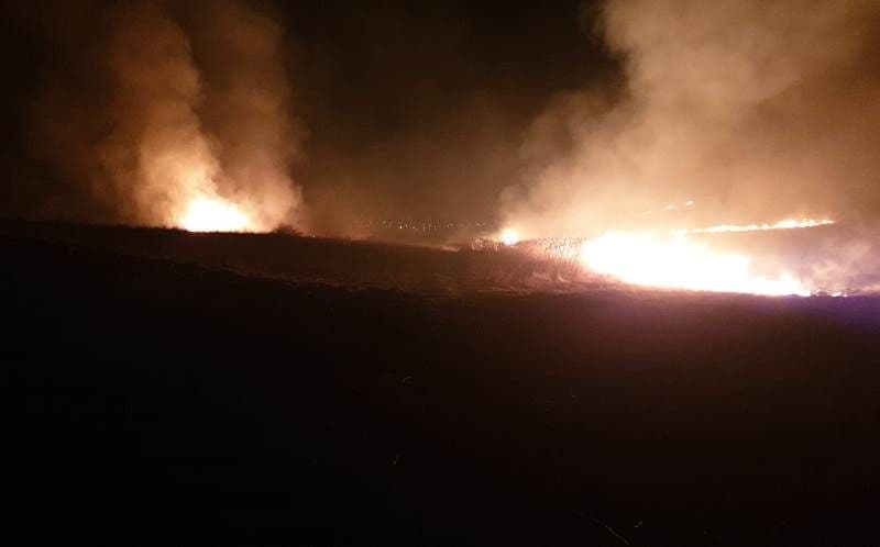 Incendii (3)