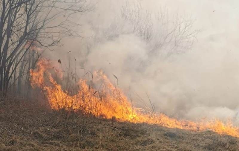 Incendiu_2