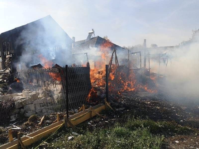 Incendiu padureni_ (2)