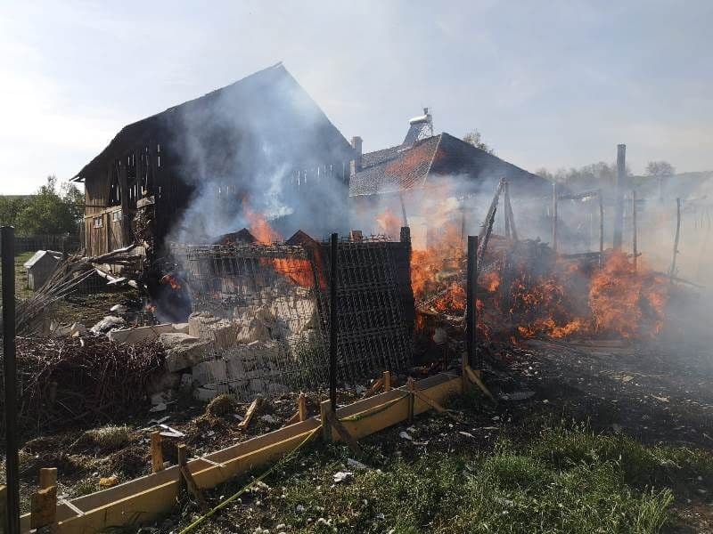 Incendiu padureni_ (3)