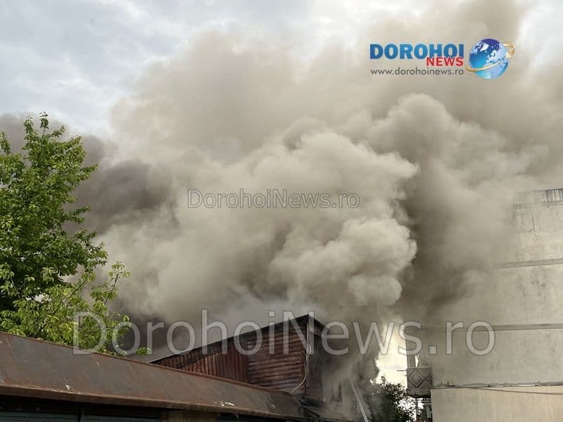 Incendiu garaje Dorohoi_06