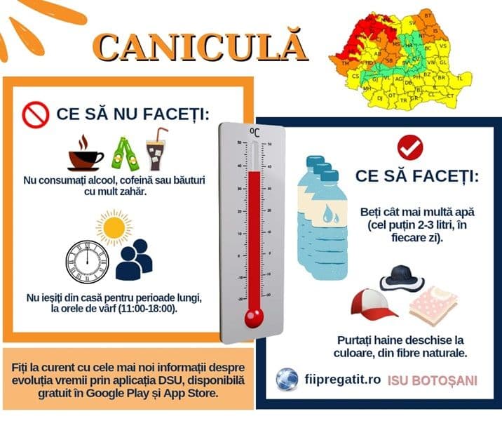 canicula 02