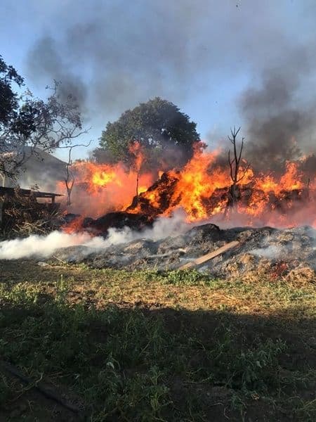 Incendiu Braesti_006