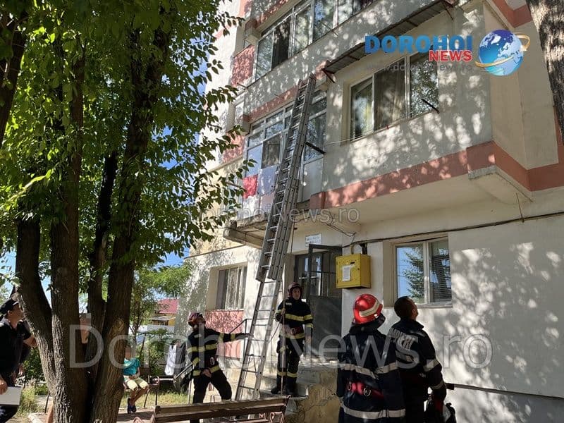 Pisica salvata la Dorohoi_01