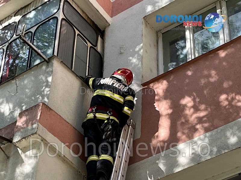Pisica salvata la Dorohoi_08