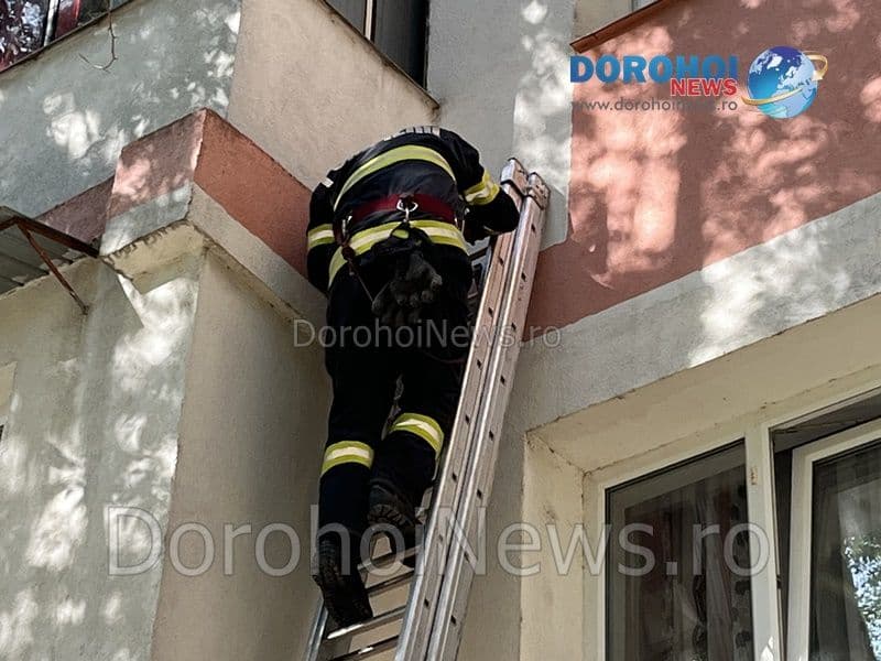 Pisica salvata la Dorohoi_09