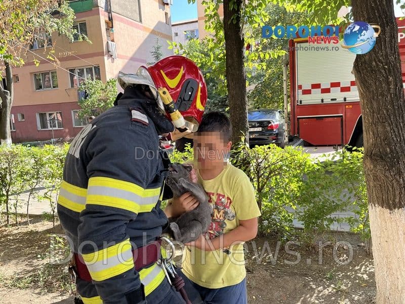 Pisica salvata la Dorohoi_12
