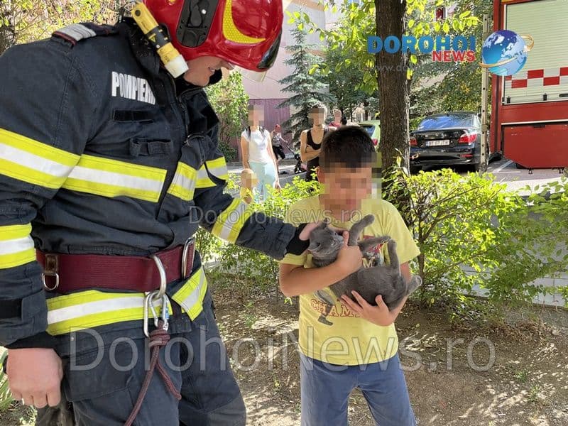 Pisica salvata la Dorohoi_15