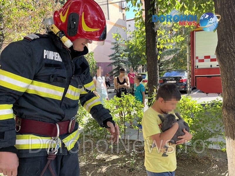 Pisica salvata la Dorohoi_16