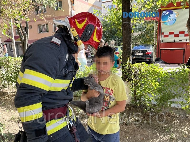 Pisica salvata la Dorohoi_13