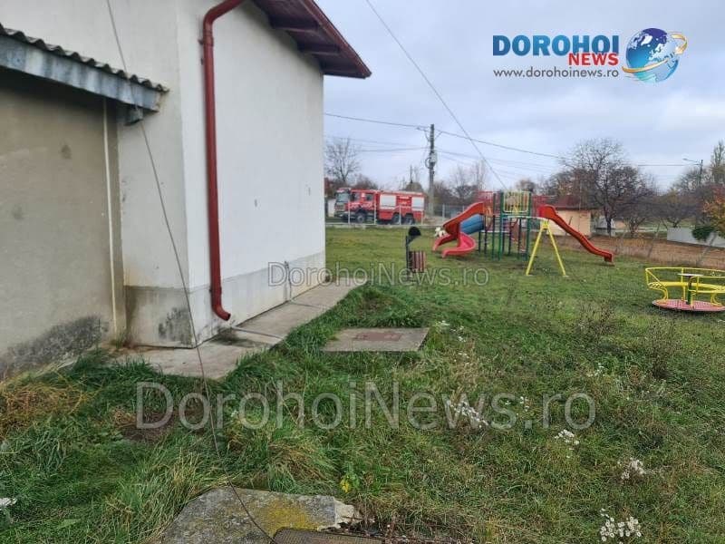 Caine salvat la Dorohoi_02