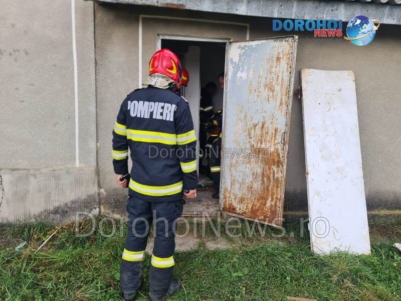 Caine salvat la Dorohoi_03