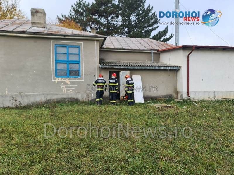 Caine salvat la Dorohoi_05