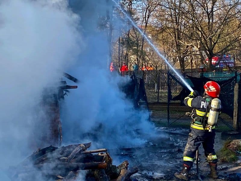 Incendiu Botosani_015