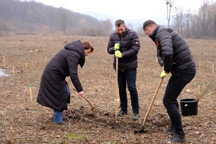 plantare 08