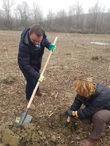 plantare 09