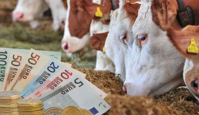 Bani pentru fermieri: Crescătorii de vaci de lapte și taurine vor primi o subvenție de 100 de euro pentru fiecare animal
