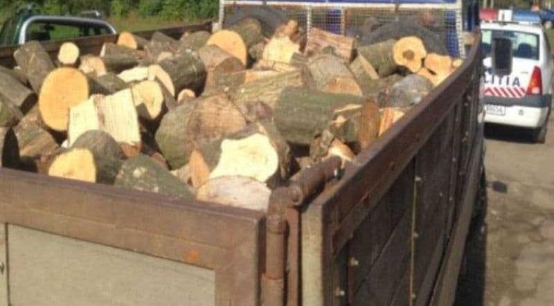 Peste 11 metri cubi de material lemnos fără documente, confiscat la Mihăileni