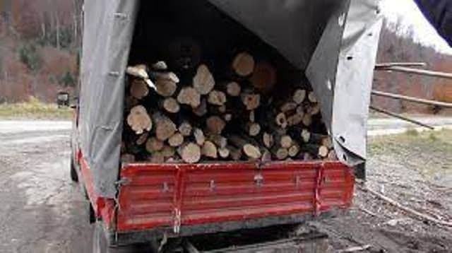 Transport de material lemnos fără aviz de însoțire: 1.000 de lei amendă și confiscarea a peste 1,5 metri cubi de lemn
