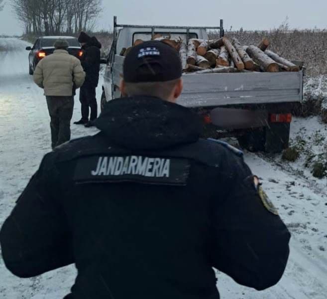 Lemne fără documente de proveniență confiscate de jandarmii botoșăneni - FOTO