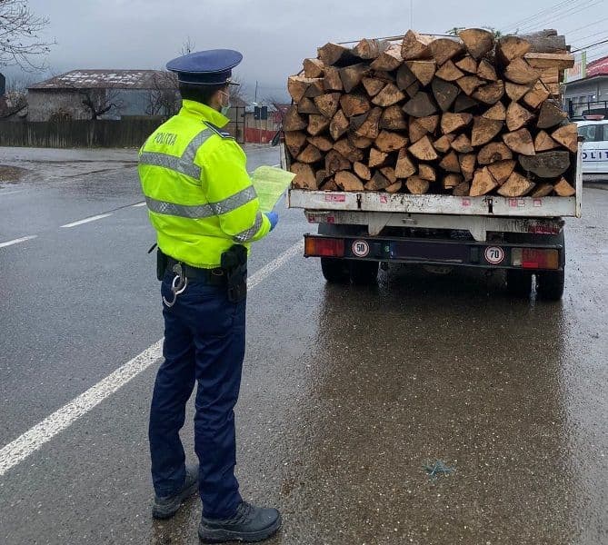 Bărbat din Flămânzi amendat după ce a transportat material lemnos pe baza unui aviz fals
