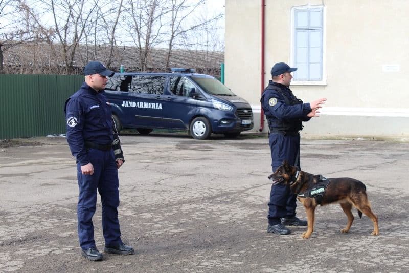 O altfel de zi la Jandarmeria Botoșani - FOTO