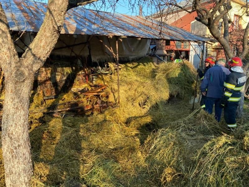 Trei tone de furaje au ars în urma unui incendiu în Botoșani. Pompierii au intervenit - FOTO
