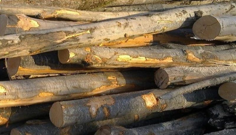 Peste 4 metri cubi de material lemnos confiscat de polițiștii botoșăneni