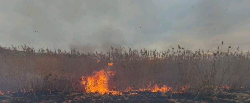 Noapte grea pentru pompierii botoșăneni: au intervenit pentru stingerea a două incendii de vegetație uscată