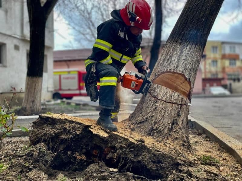 Un copac scos din rădăcini de vântul puternic punea în pericol siguranța oamenilor - FOTO