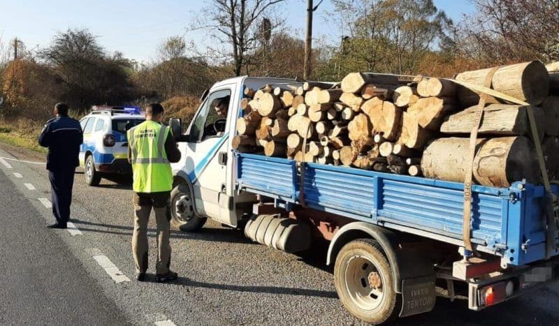 Trafic ilegal cu lemne! Polițiștii dorohoieni au aplicat amenzi și au confiscat material lemnos
