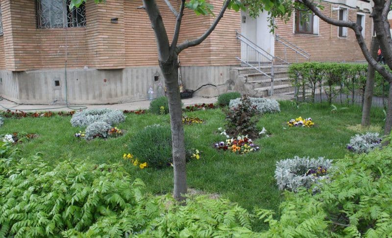Cei care plantează flori sau copaci pe spațiile verzi din jurul blocurilor riscă amenzi! Ce autorizație trebuie să ceară