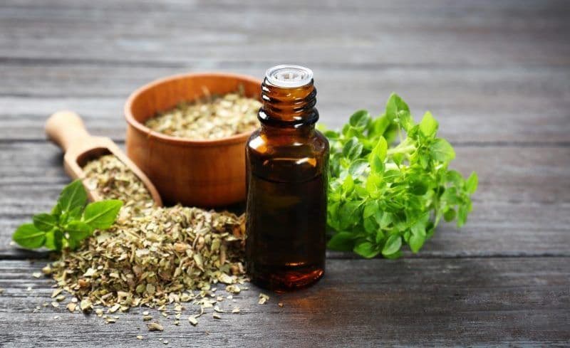 Cele mai bune antibiotice naturale