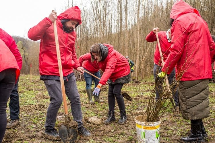 Proiectul „Pentru o Românie Verde” demarat la Botoșani - FOTO