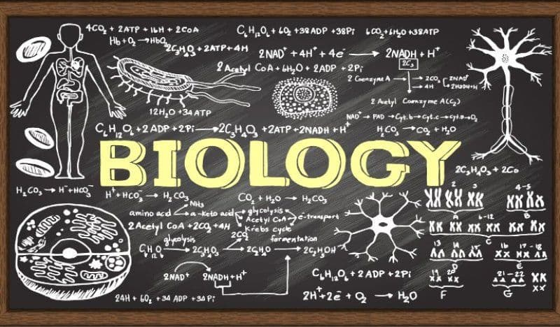 Două eleve din Dorohoi vor reprezenta județul Botoșani la etapa națională a olimpiadei de biologie
