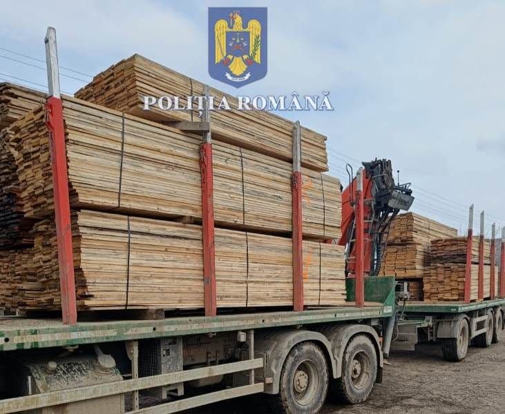 Peste 2.000 de metri cubi de material lemnos au fost confiscați de polițiștii botoșăneni - FOTO