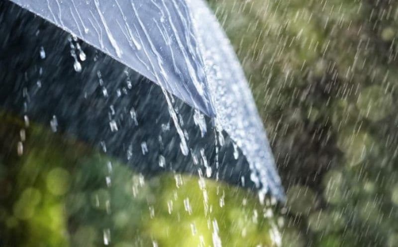 Informare meteo de ploi moderate cantitativ și intensificări ale vântului